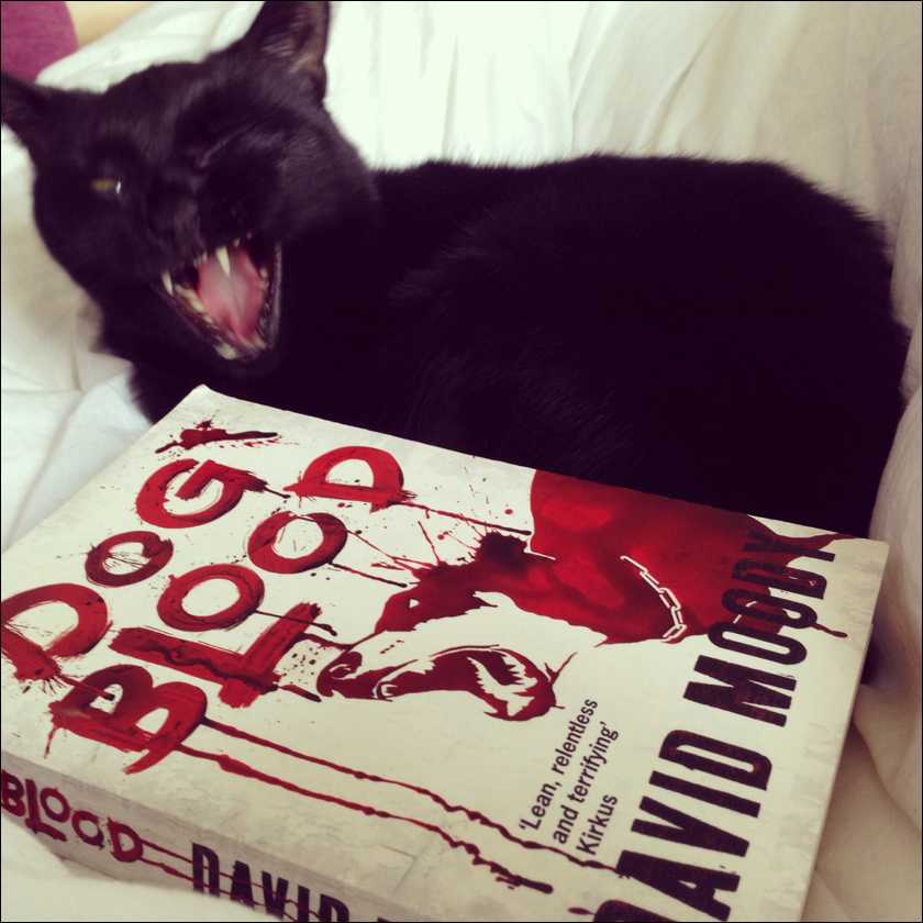 David Moody Dog Blood Hater
