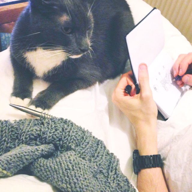 knitting with cat