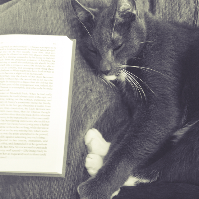 reading with cat