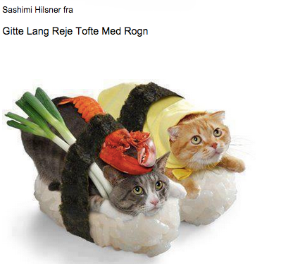 sushi cats